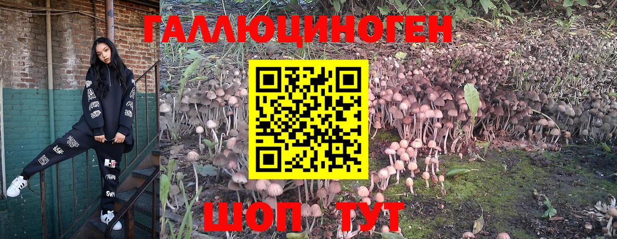 Орехово-Зуево  Галлюциногенные грибы Psilocybe  Псилоцибиновые грибы MAGIC MUSHROOMS  Вход с VPN 